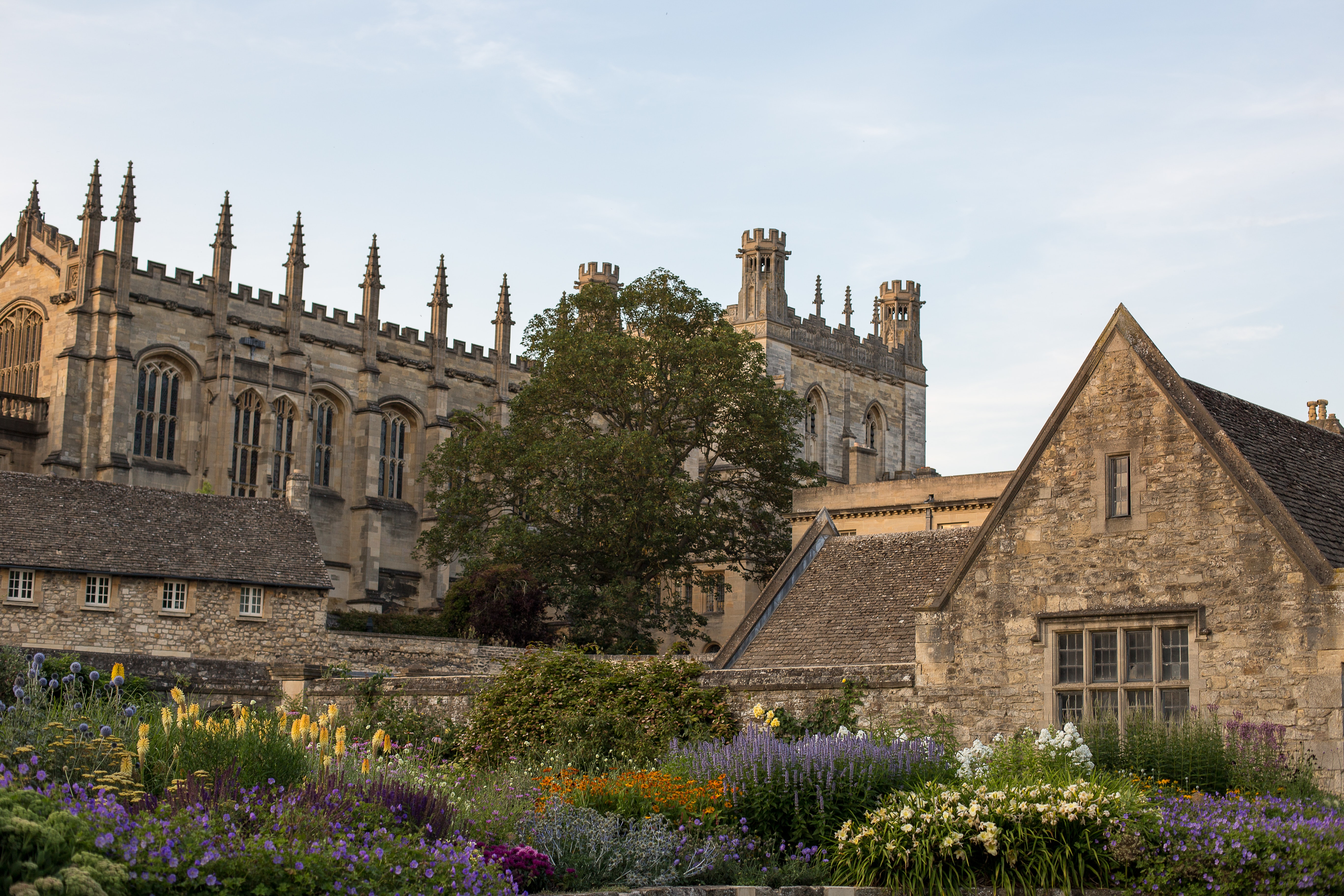 Christ Church Meadow in Oxford  