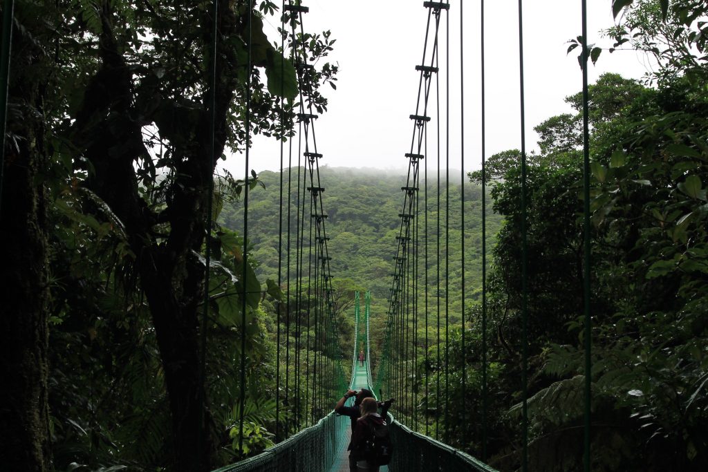 Suspension bridge in Monteverde Cloud Forest in Costa Rica