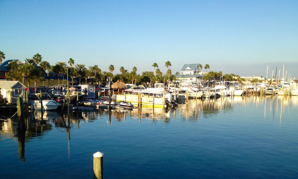 a view of the sea in Sarasota, Florida with boats and green trees in the day