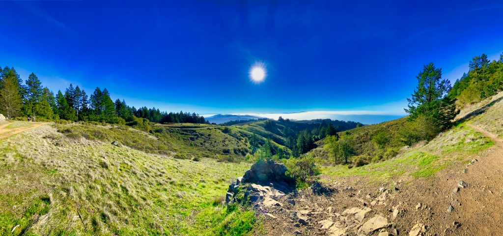 The Muir Woods National Monument in the day is the next stop in our travel guide to the West Coast, USA.