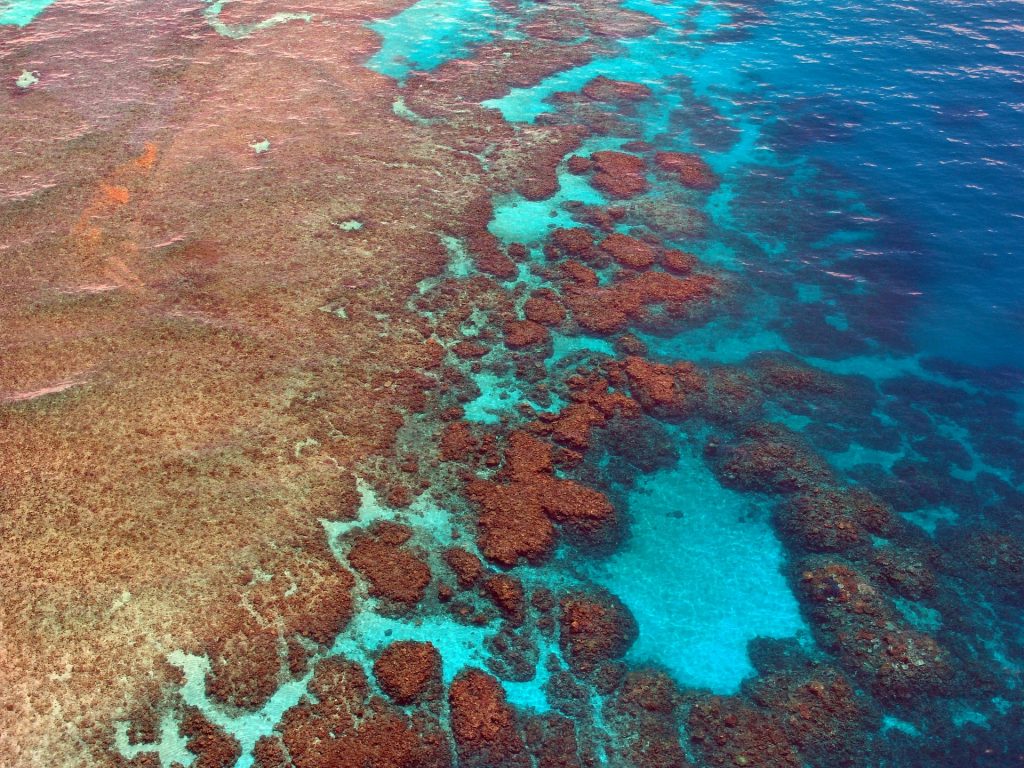 The Great Barrier Reef in Queensland, Australia a perfect place for Valentine’s Trips For Singles