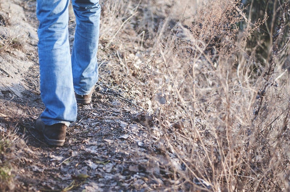 Person walking in nature