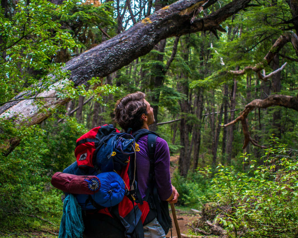 Man with a backpack in the forest