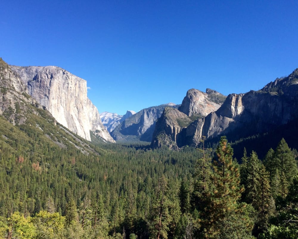 Yosemite National Park