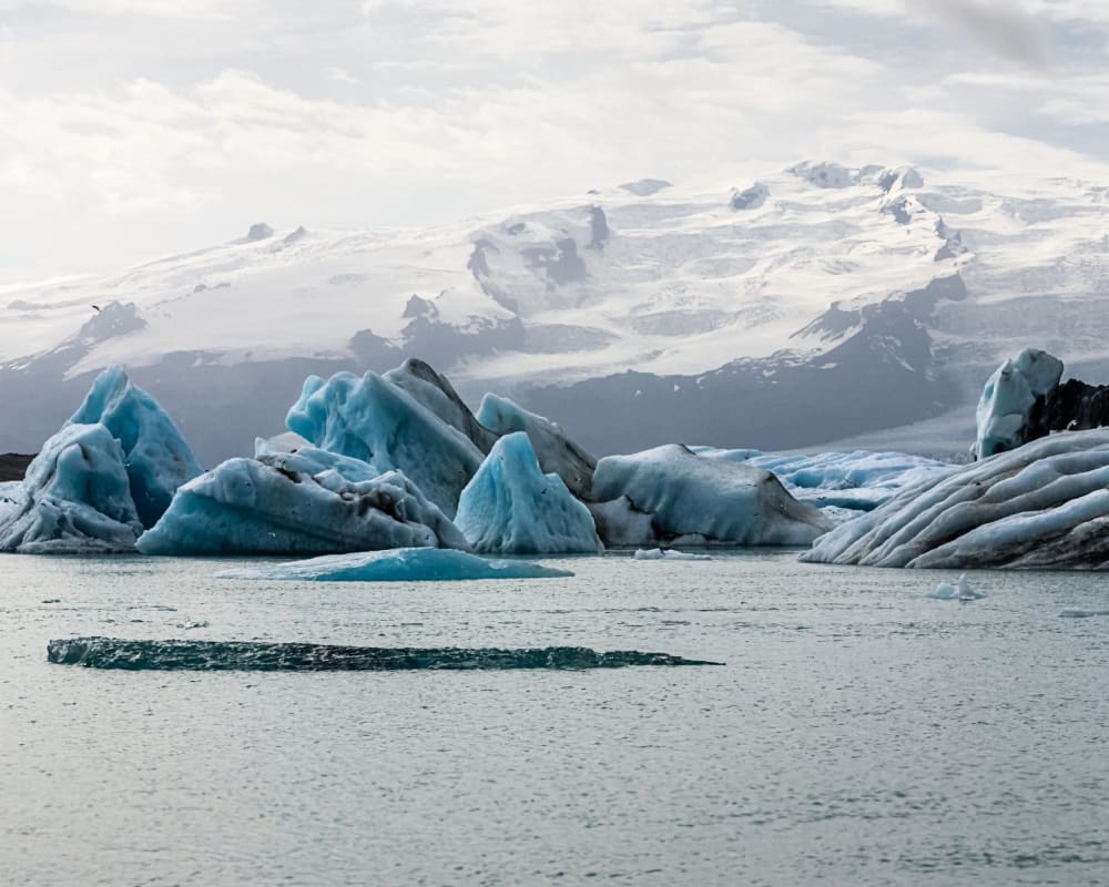 Blocks of ice in the sea