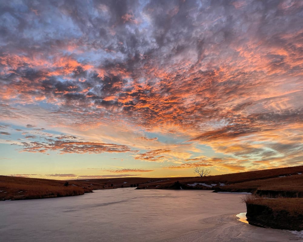 Best books and movies to see in Nebraska during the sunset