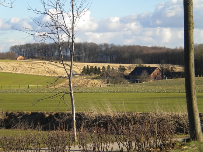 place to visit in germany, Teutoburger wald a field 