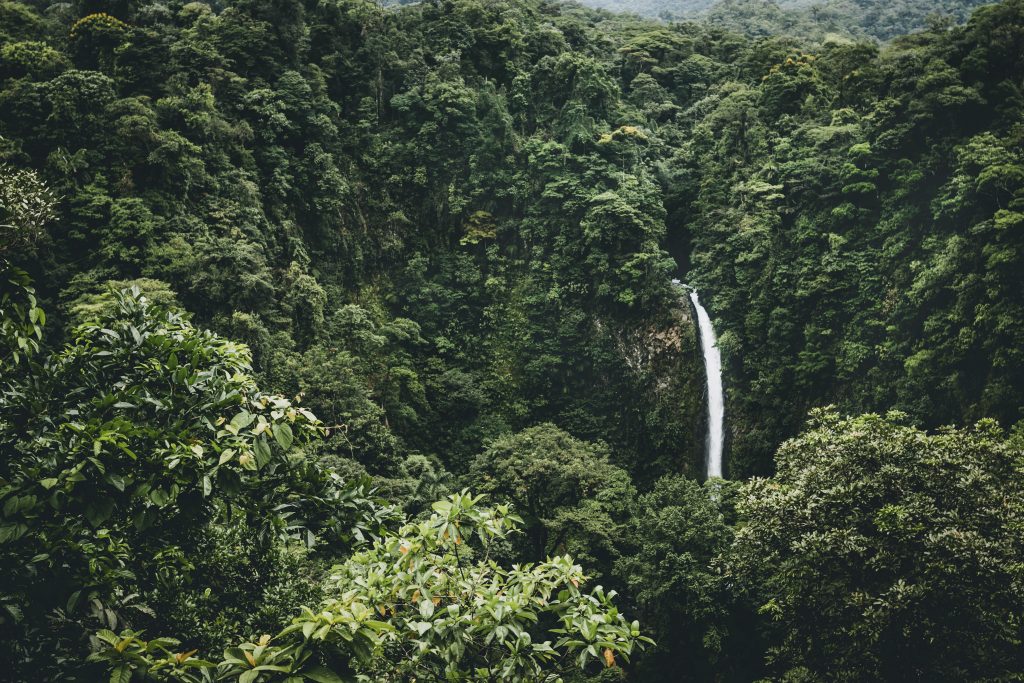 An impressive waterfall in the  midst of green landscape