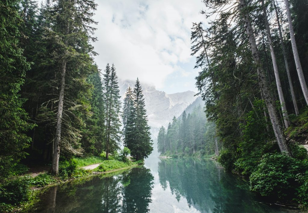 A landscape view of the forest with a lake in the middle perfect tips for your first camping trip.