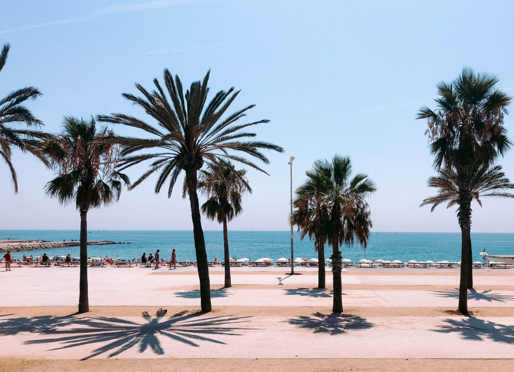 A view of the seaside, a walkway on the beach and palm trees along with a pretty blue sky. 