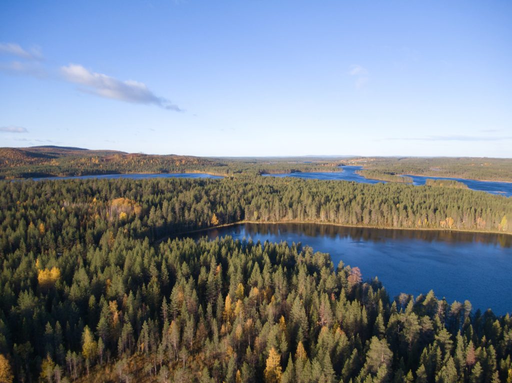 Oulanka National Park in Finland with lots of trees and lakes