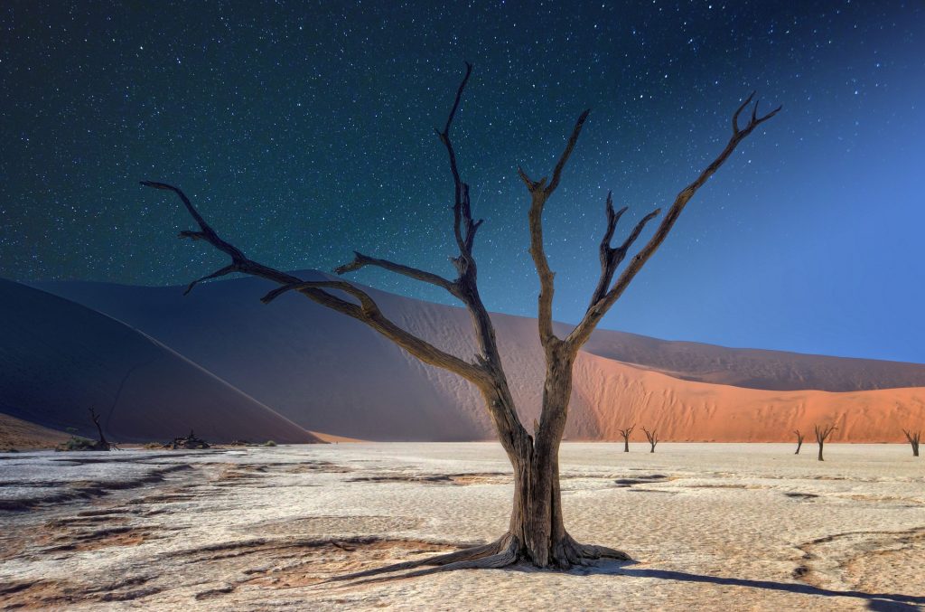 Dead tree against the dunes at Deadvlei park in Namibia