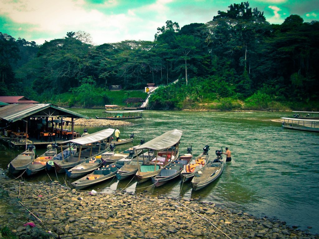 Taman Negara in Malaysia. 