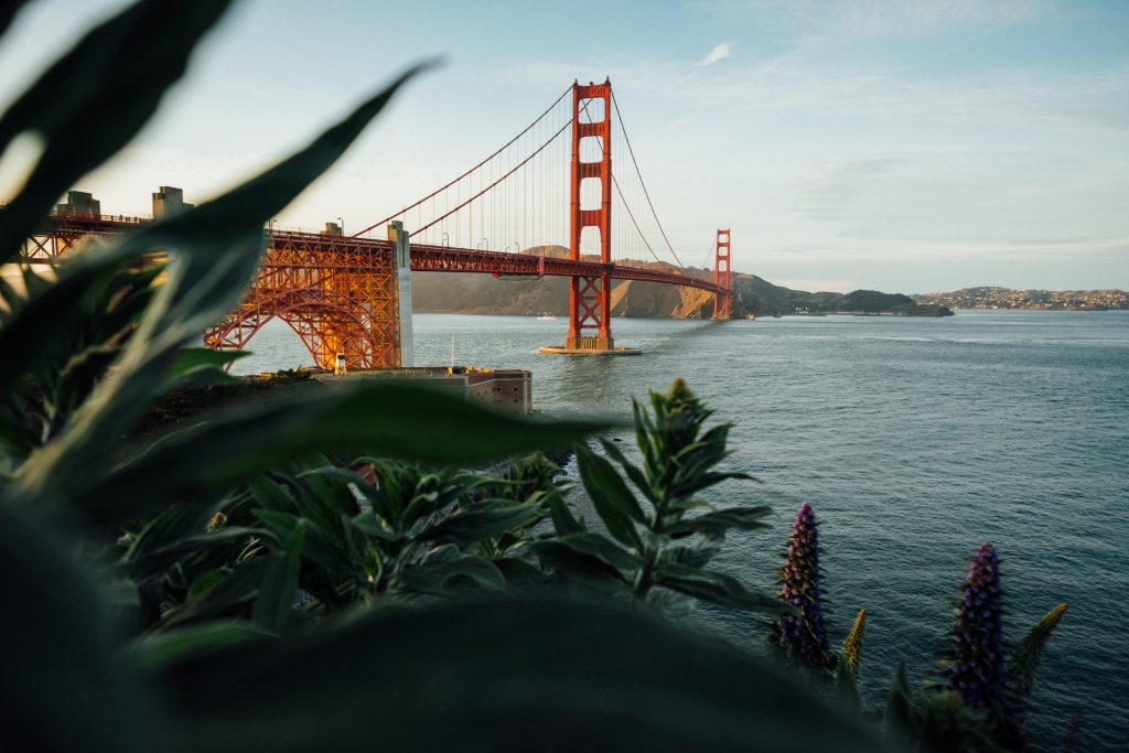 The Golden Gate Bridge in San Francisco, United States in the day time with green leaves in front of it. 