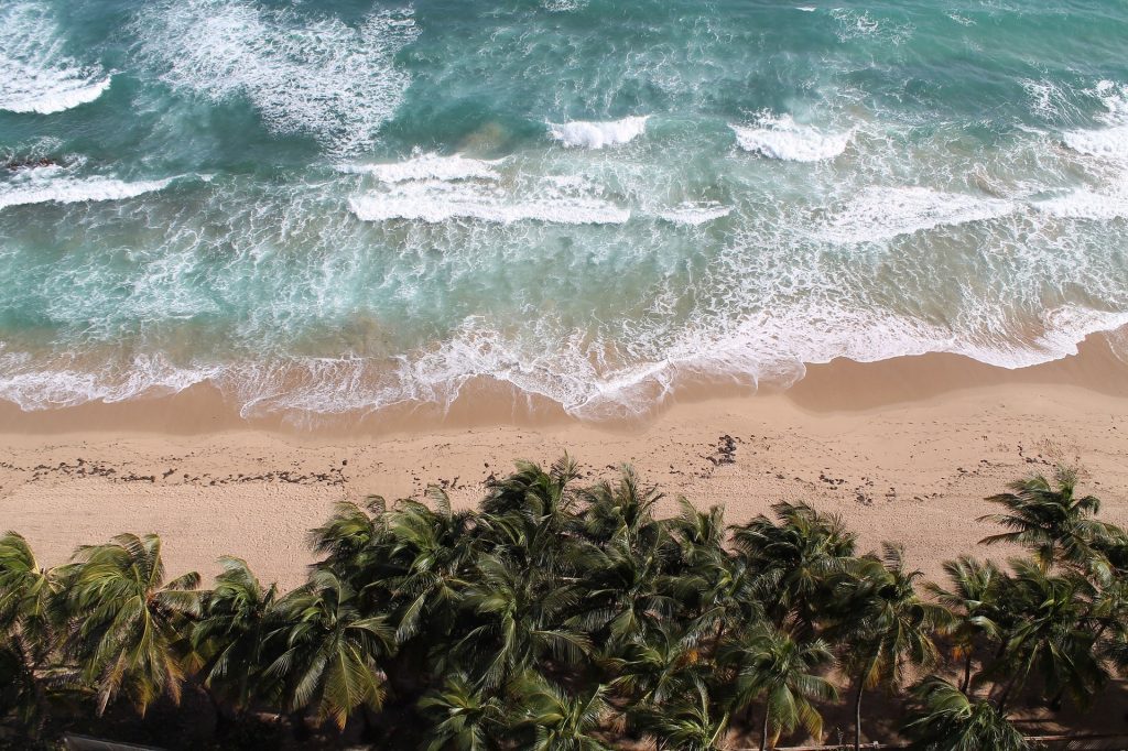 Surf the waves in Santa Teresa Costa Rica