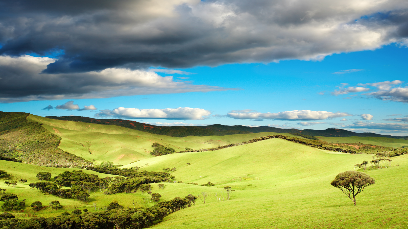 New Zealand