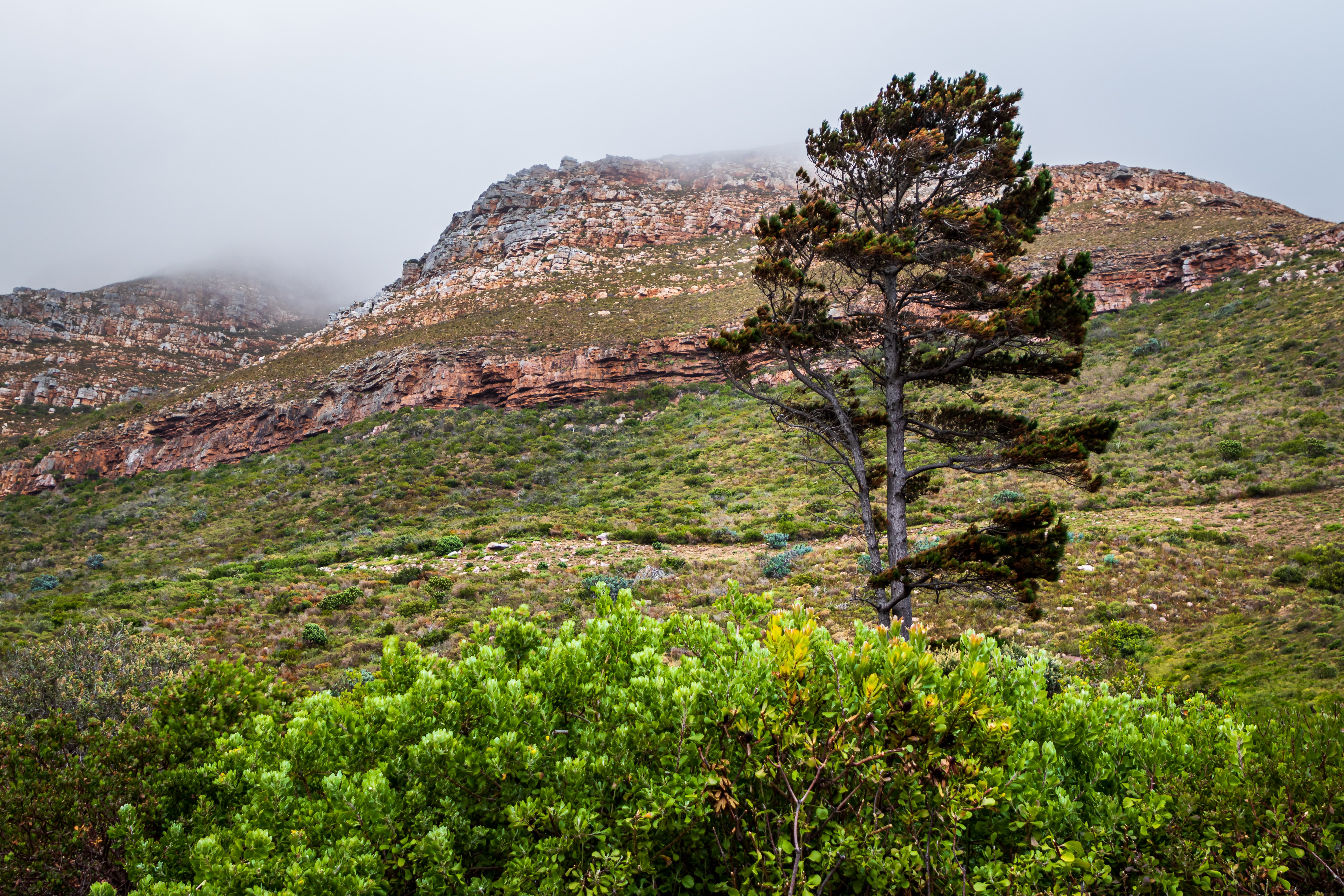 The Rocklands in South Africa are a real challenge for climbers. 