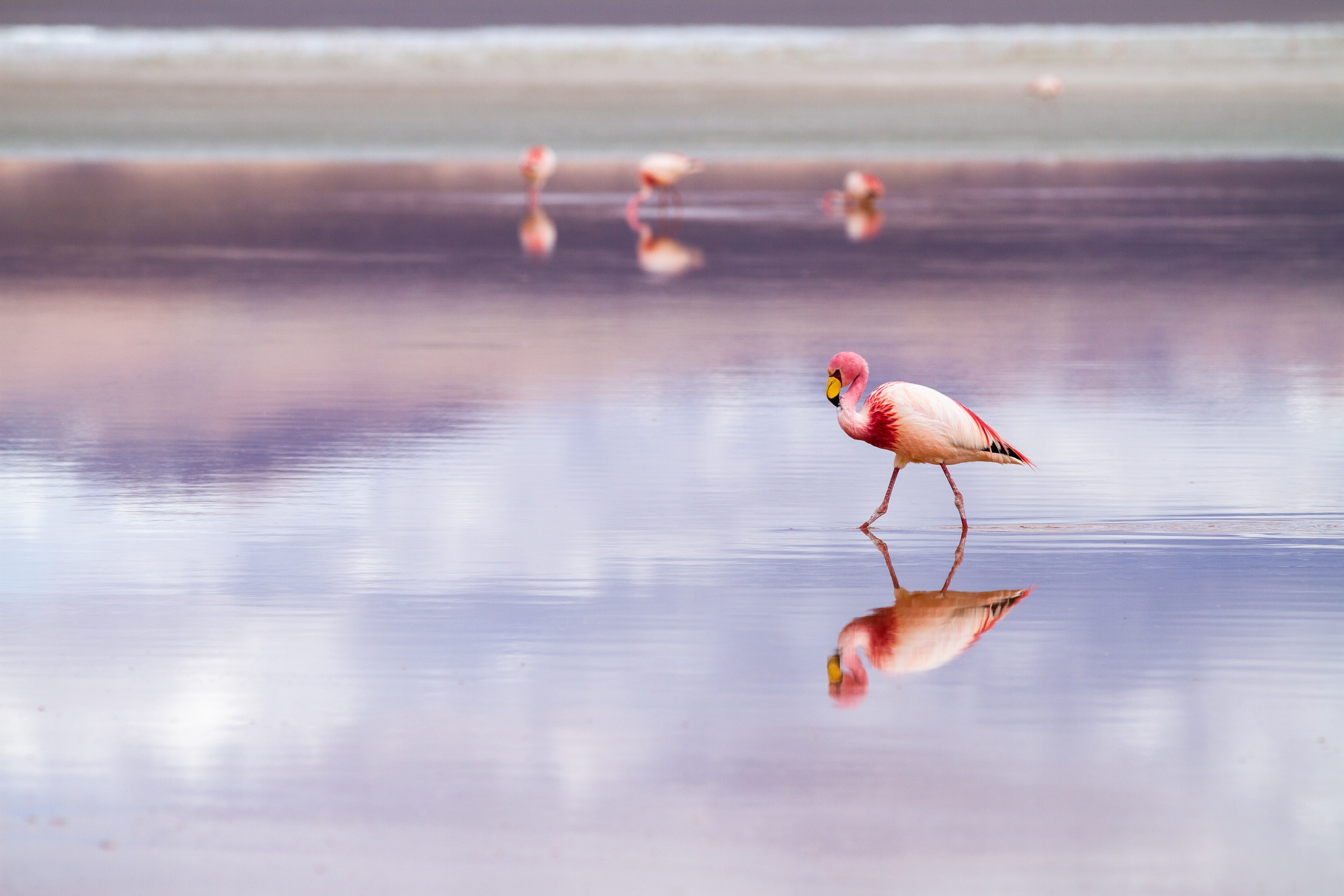 SALAR DE UYUNI