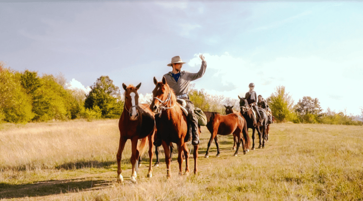 Horseback group trip