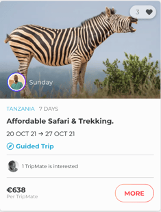 Affordable safari trip with a travel buddy 