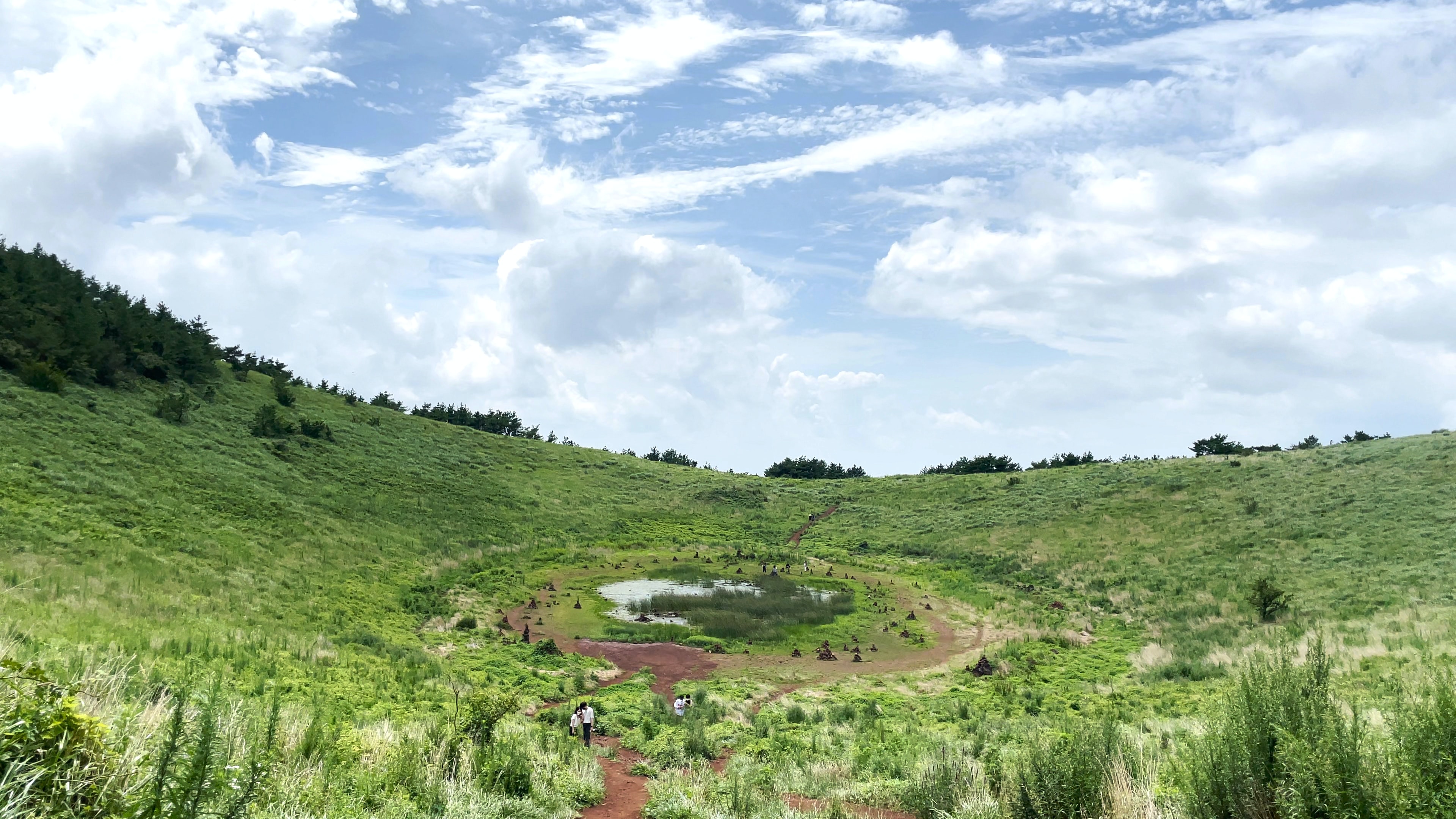 South Korea, Jeju-do, Jeju-si, Hallim-eub, Geumak-ri, 금오름-1