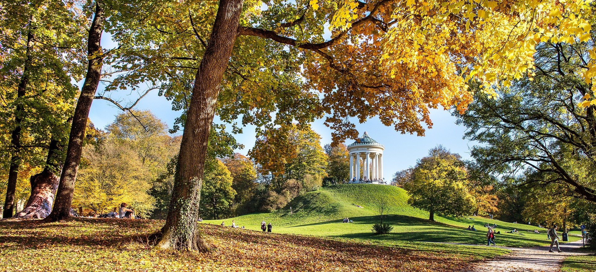 Autumn trees in a park in Munich