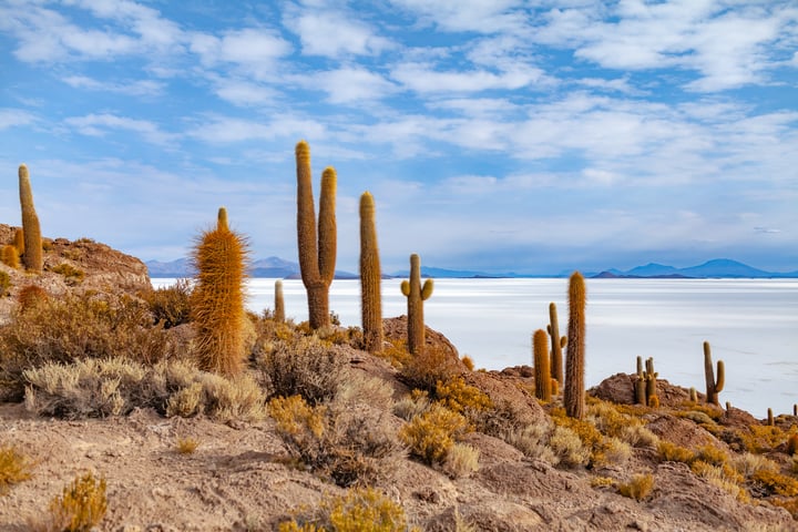 Bolivia Landscape