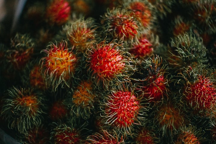 Rambutan