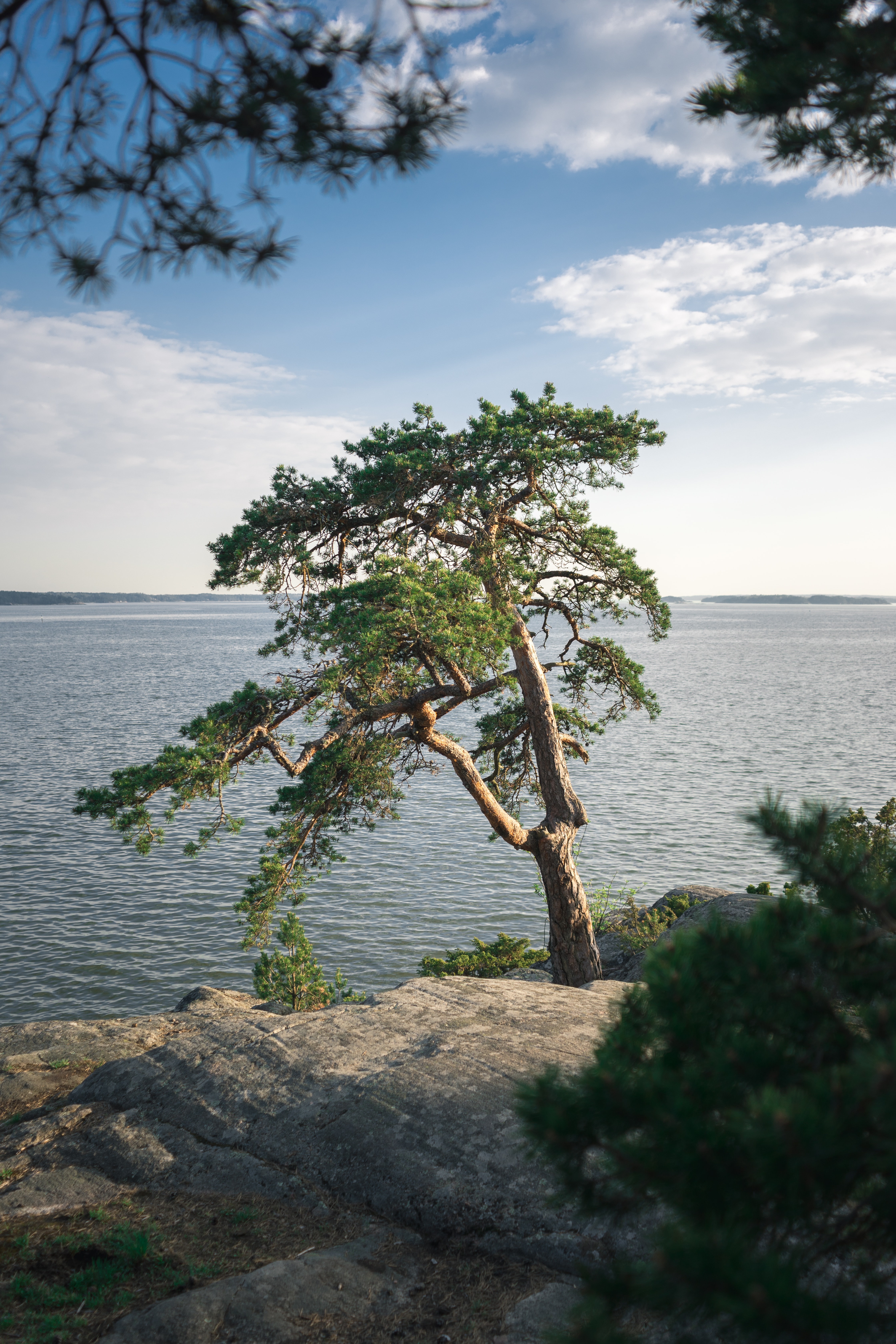 A view of Turku with the lake and trees.