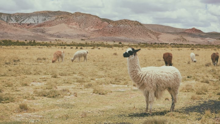 Bolivia