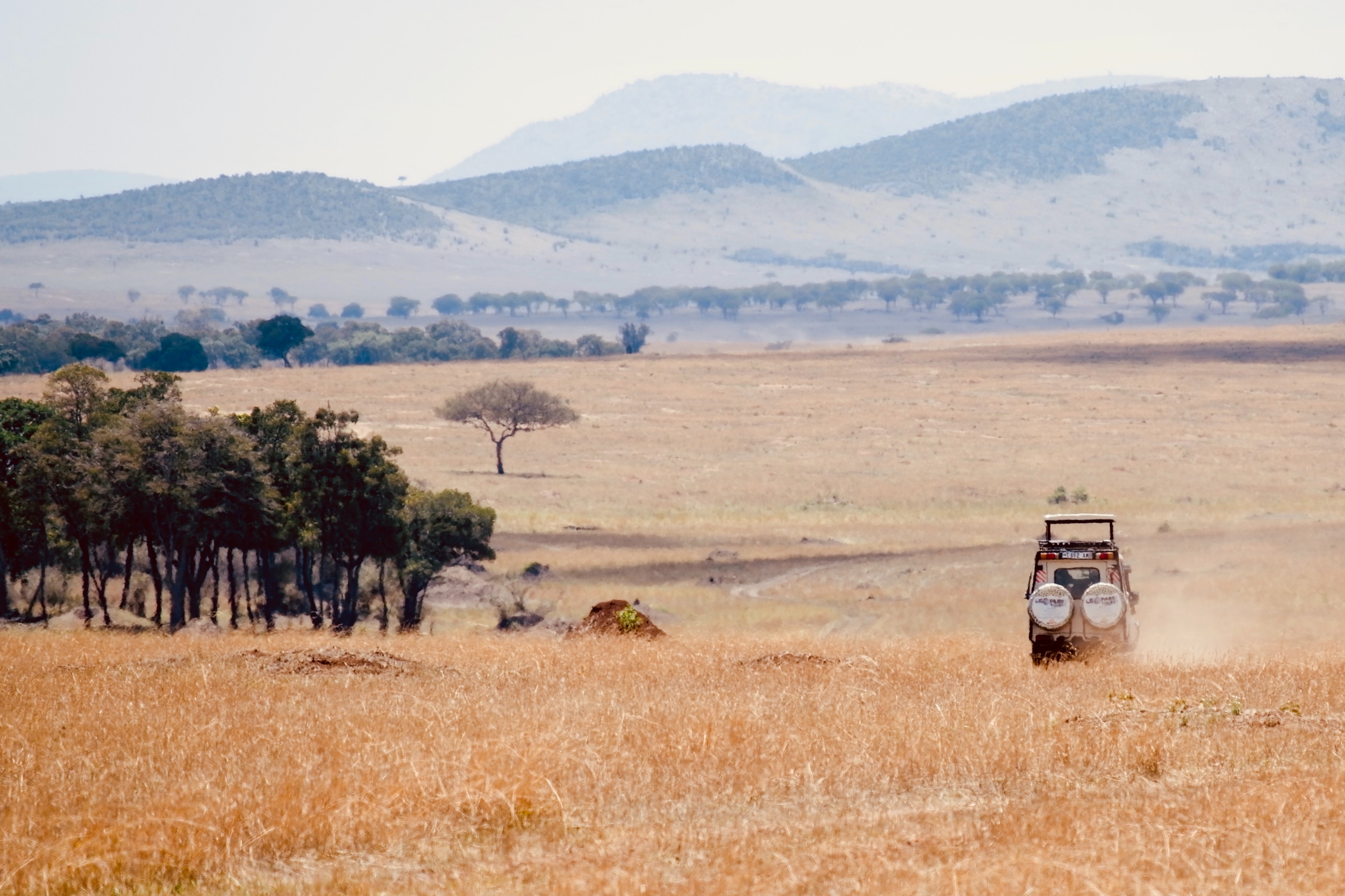 The most unusual group tours: Wildlife safari and culture in Tanzania.