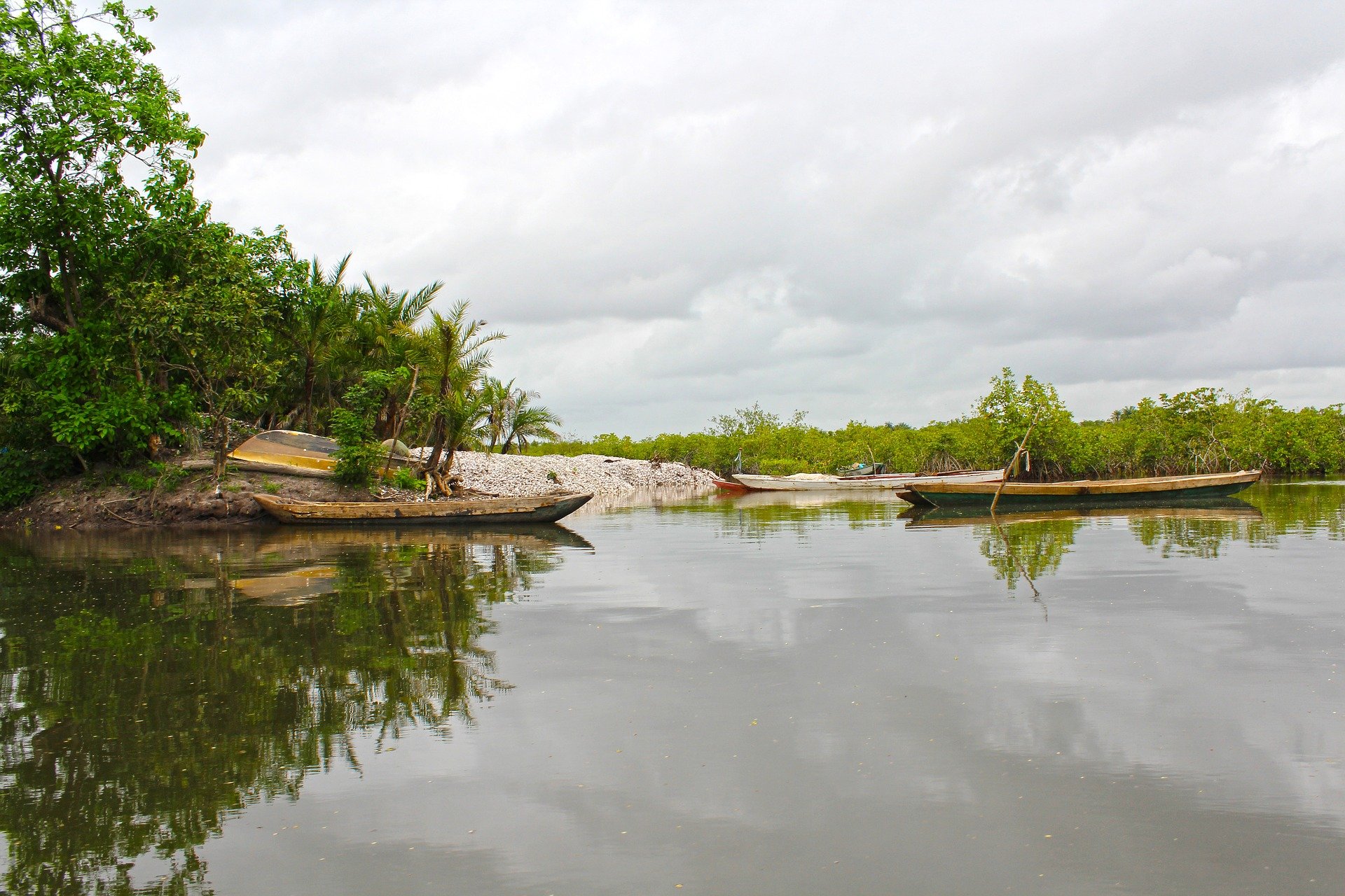 travel to The Gambia and see the crocodiles