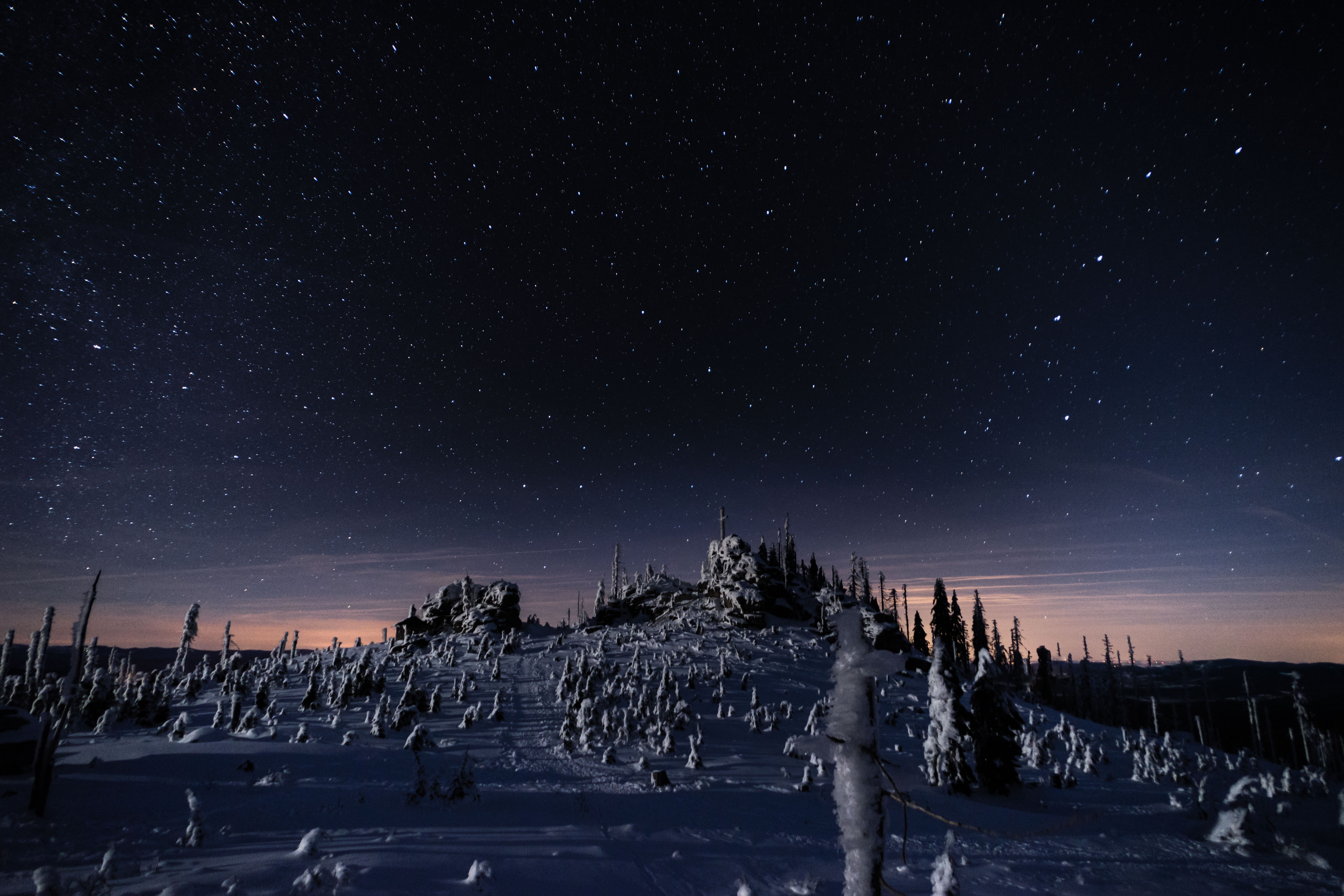 Bavarian forest national park with a sky full of stars.