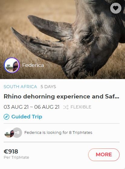 Book a trip to South Africa