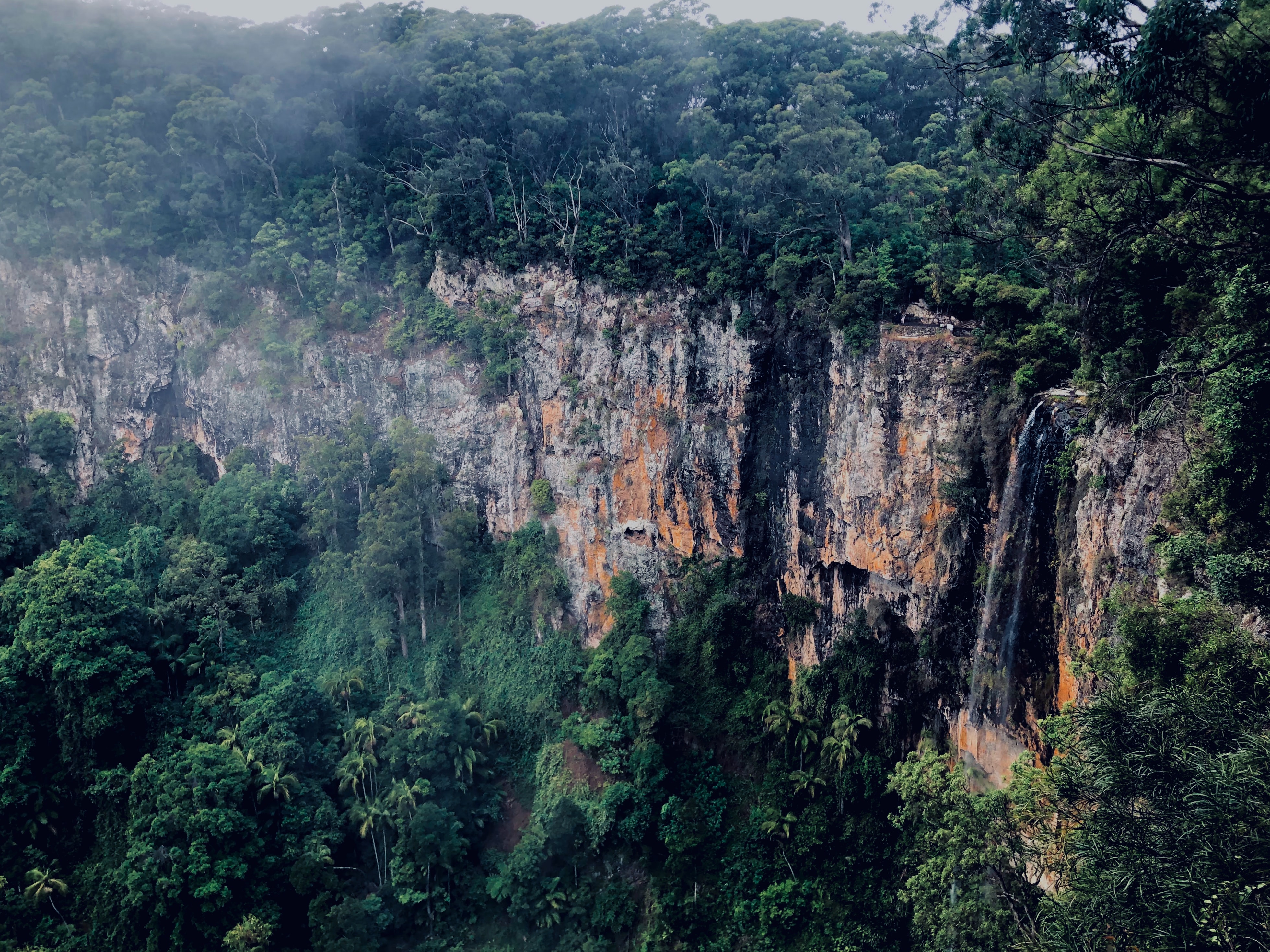 Rocky cliff with lush greenery in Australia