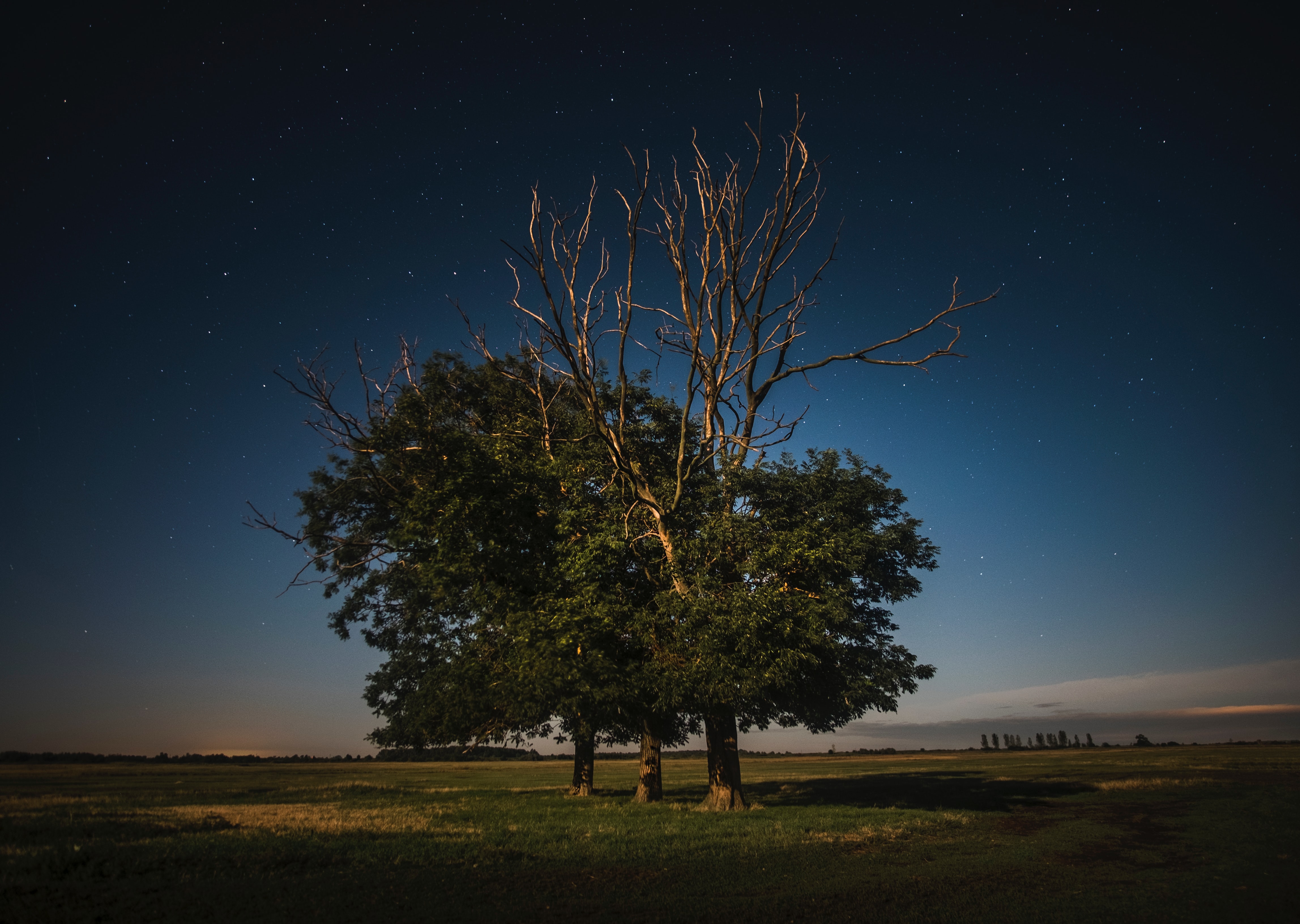 Hortobagy national park in Hungary with a sky full of stars.