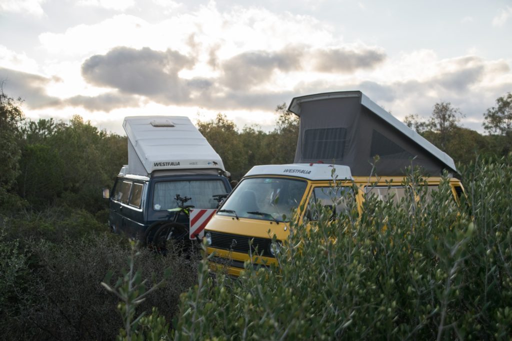 two campervans in a forest 