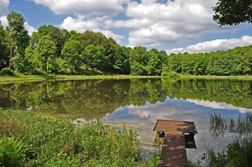 A lake formed by an explosion surrounded by trees Destinations in Germany for Autumn 2020