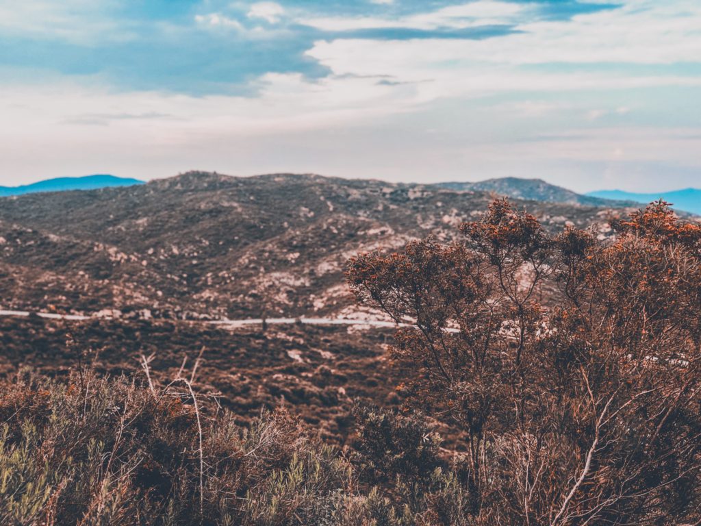 shrubbery and landscape in Greece making it a perfect destination for Spring 2021