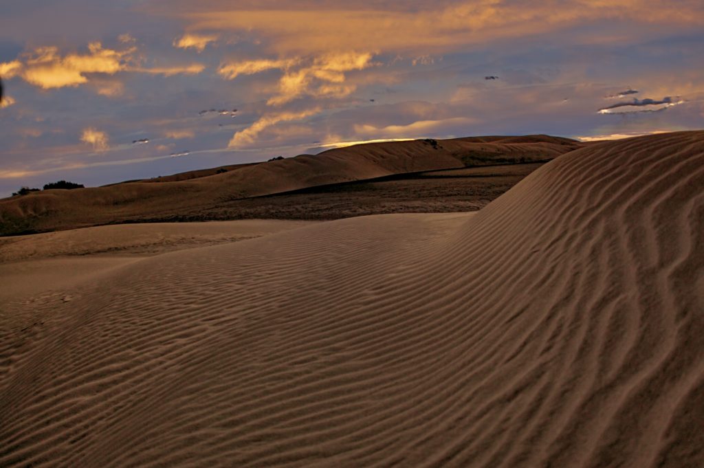 desert landscape in Maspalomas 