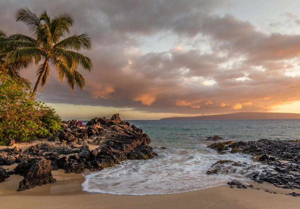 A beautiful white sandy beach with a palm next to it and a stunning cloudy purple sky