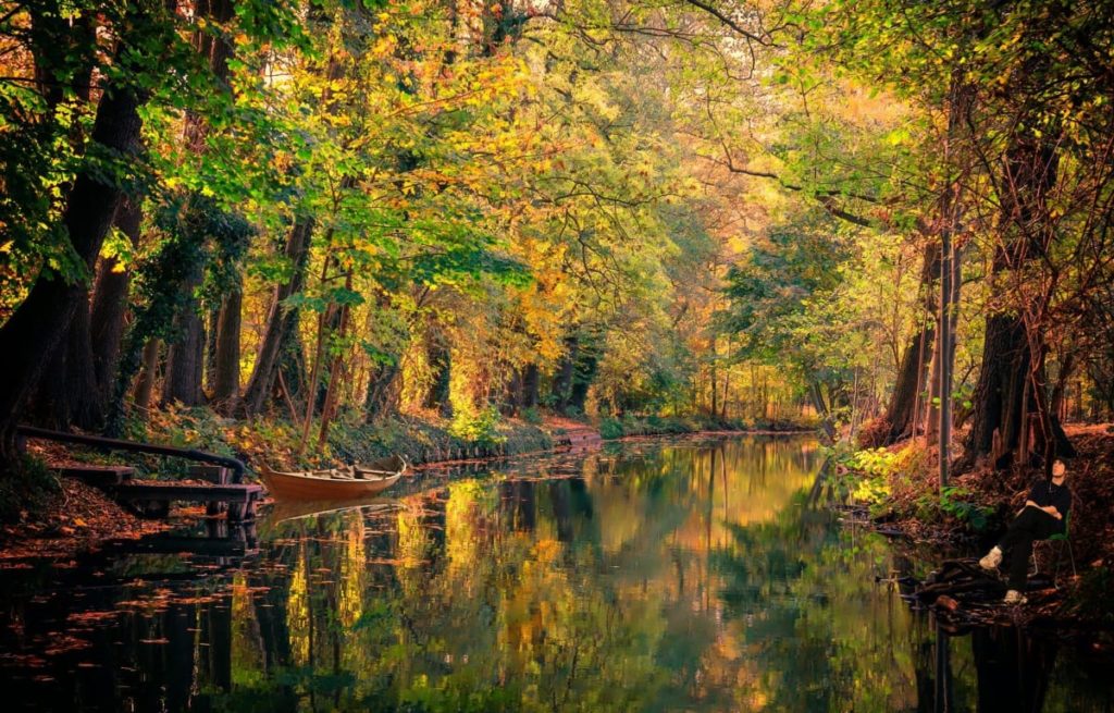 River in the Spreewald near Berlin