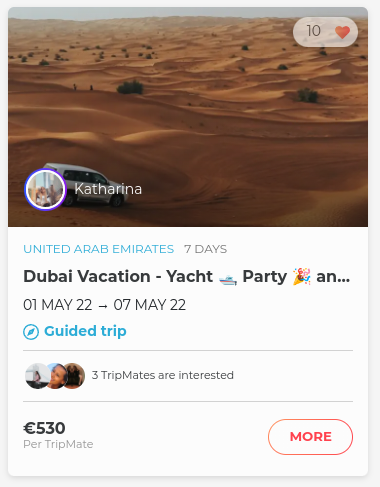 Dubai yacht and party trip