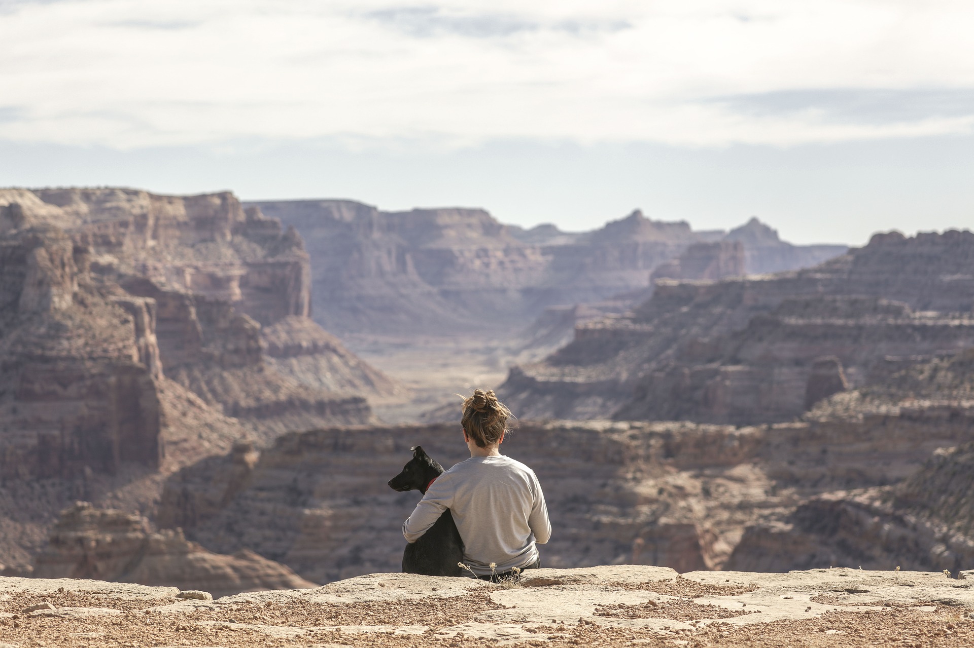 Dog and girl in mountains: how to travel the world with your pet